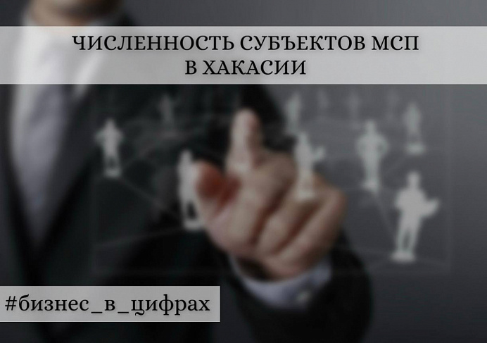 Численность субъектов малого и среднего предпринимательства в Хакасии в 2025 году