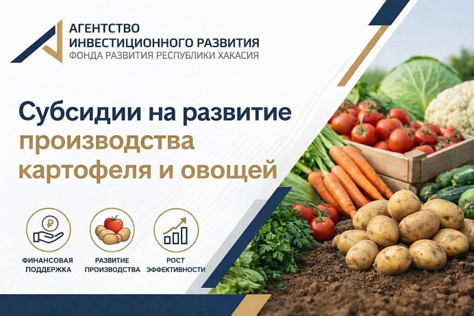 Субсидии на развитие производства картофеля и овощей