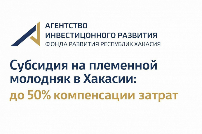 Субсидия на племенной молодняк в Хакасии: до 50% компенсации затрат