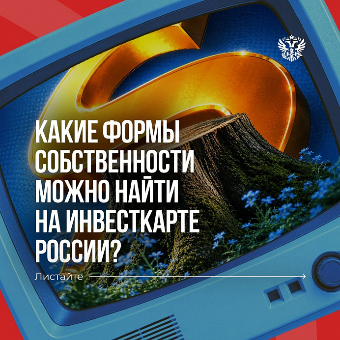 Форма собственности тоже часть этого пазла. 